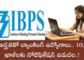 IBPS Clerk Recruitment 2025: డిగ్రీ ఉంటే చాలు.. దేశవ్యాప్తంగా 10,277 క్లర్క్ పోస్టులు!