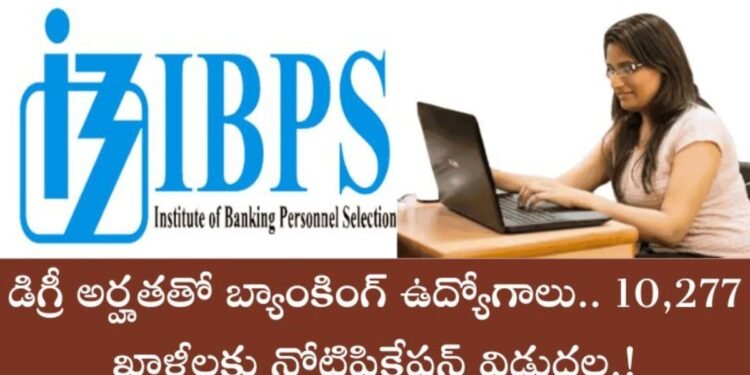 IBPS Clerk Recruitment 2025: డిగ్రీ ఉంటే చాలు.. దేశవ్యాప్తంగా 10,277 క్లర్క్ పోస్టులు!